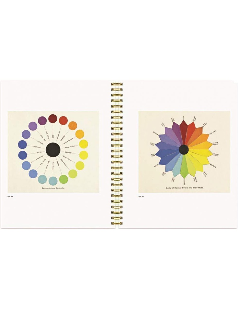 Color