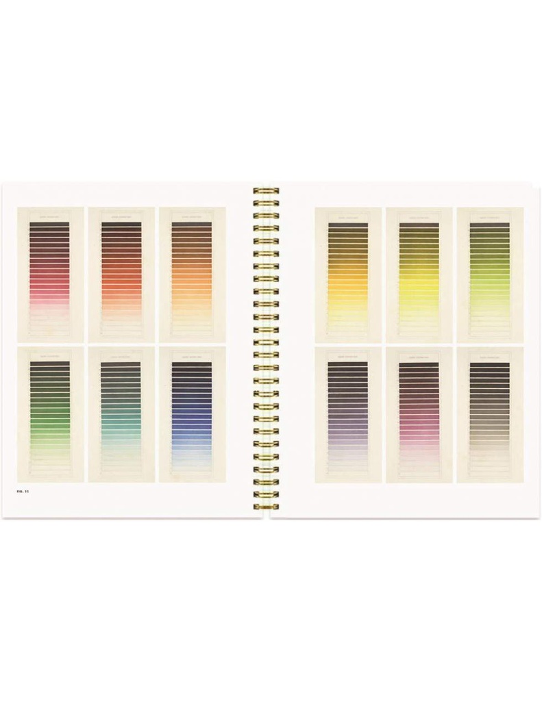 Color