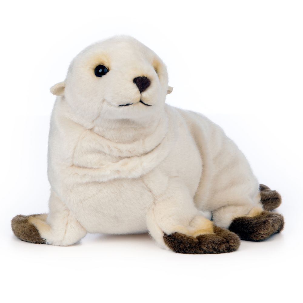 Zeeleeuw Pup