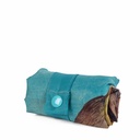 The Birth of Venus (detail)