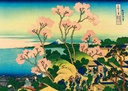 Shinagawa aan de Tokaido