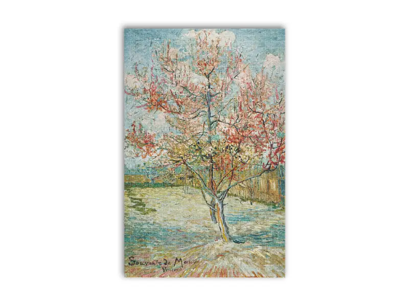 puzzel-1000-stukjes-roze-perzikbloesem-souvenir-de (1).webp