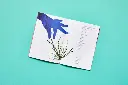 Loopvis_Kakkerlakjes-2019_44_ADEM-PAUZE_011-800-700x467.webp