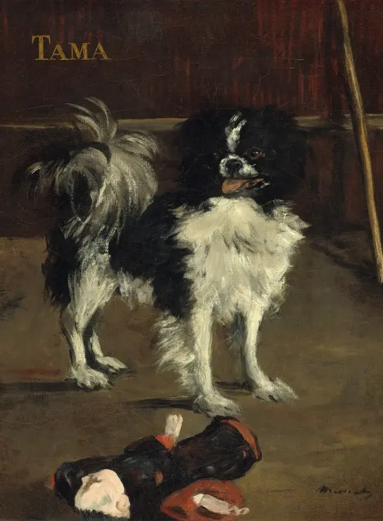 edouard-manet-tama-the-japanese-dog-1875-puzzle-2000-teile.86642-1.fs.webp