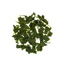 cuperus-sencha-okuyataka-70g (1).webp