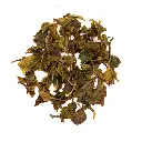 cuperus-avongrove-darjeeling-50g (1).webp
