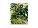 lens-cloth-garden-in-saint-remy-vincent-van-gogh (1).webp
