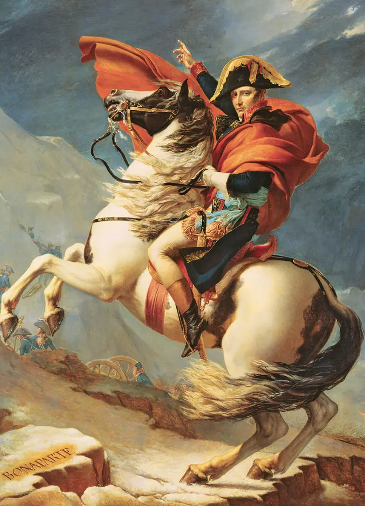 napoleon-jigsaw-puzzle-1000-pieces.98587-1.fs.webp