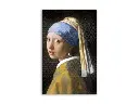 puzzel-1000-stukjes-vermeer-meisje-met-de-parel (3).webp