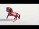 youtube - [Video]