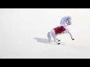 youtube - [Video]