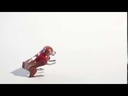 youtube - [Video]