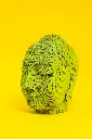 Buddha_1.webp