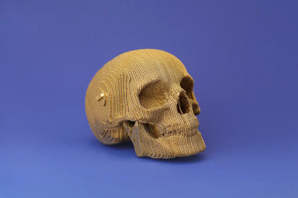 Skull_17.webp