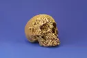 Skull_17.webp