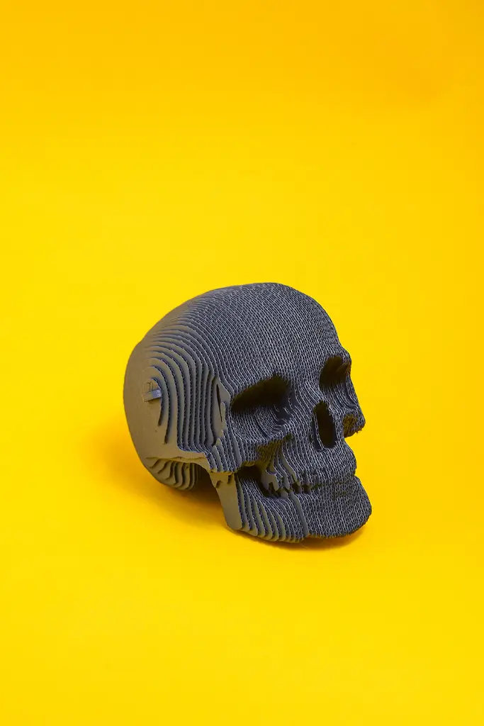 Skull_11.webp
