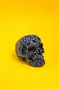 Skull_11.webp