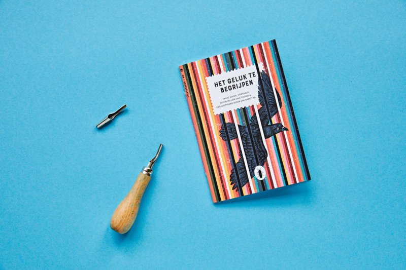 Het geluk te begrijpen