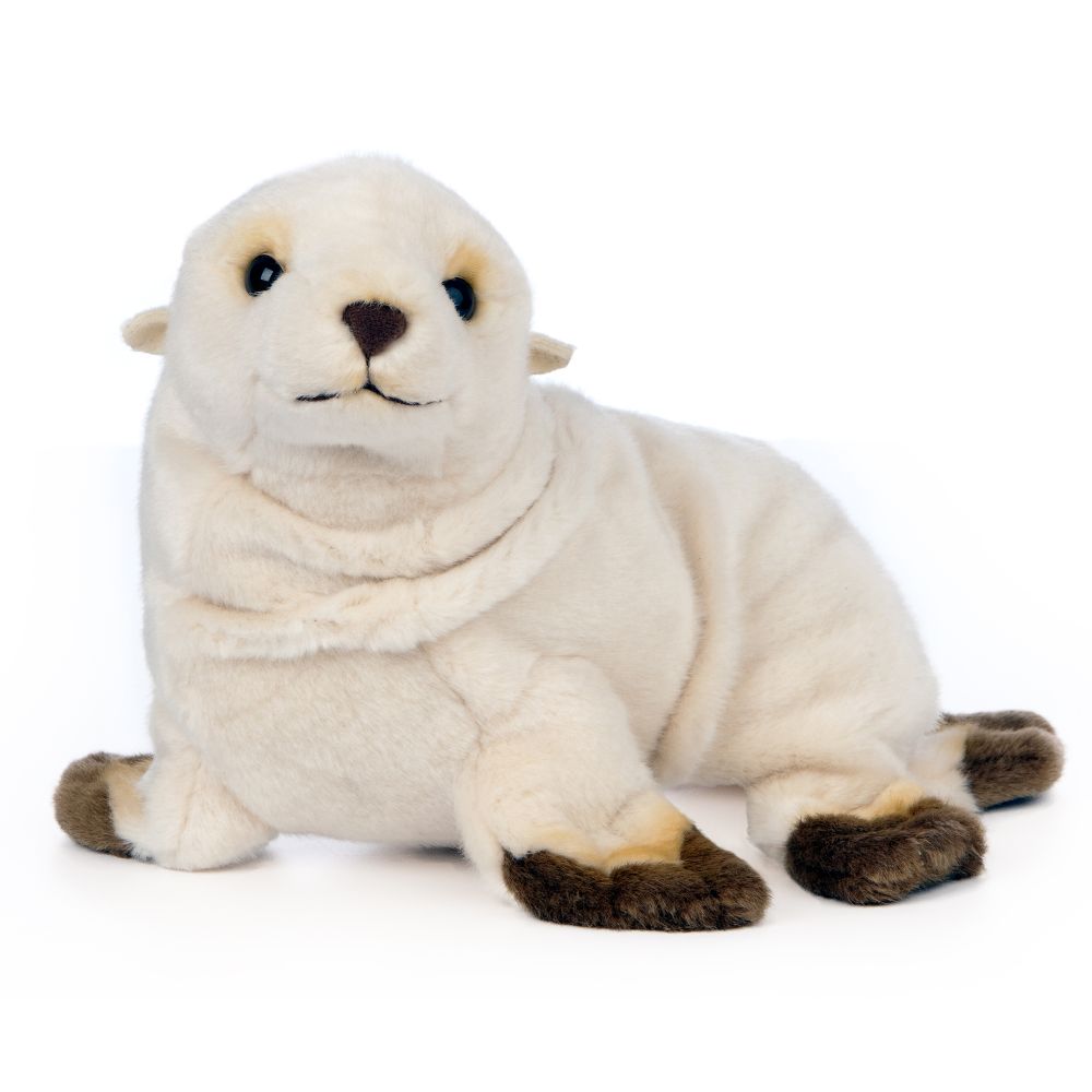 Zeeleeuw Pup