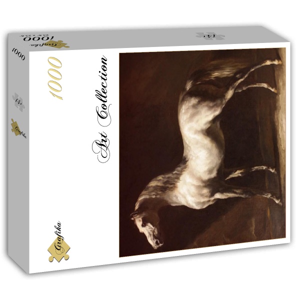 Grijs-wit Arabisch paard