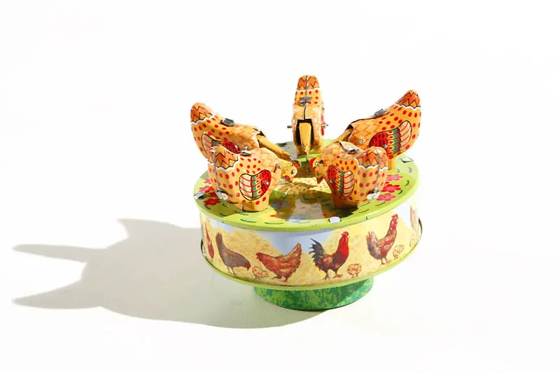 Kippen in een cirkel