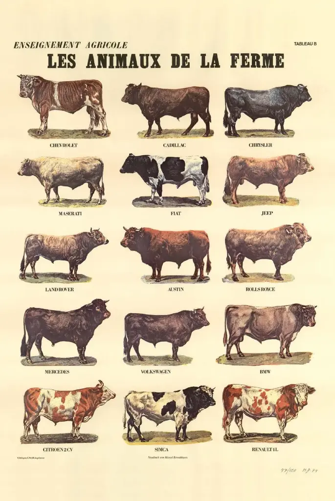 Les Animaux de la Ferme tableau B