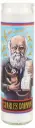 Charles Darwin seculiere heilige kaars