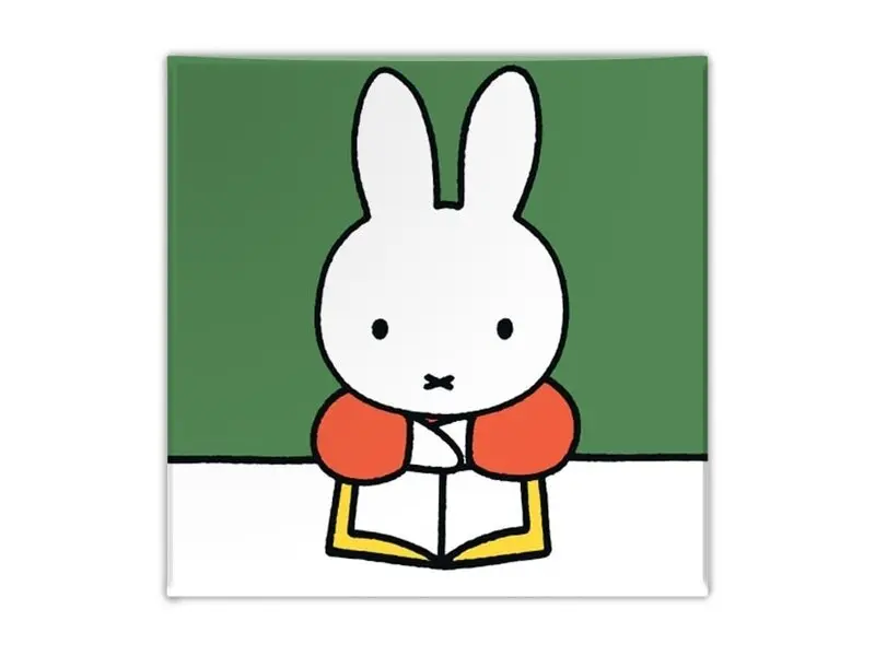 Nijntje leest een boek