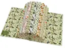 Cadeaupapier - Flora & Fauna