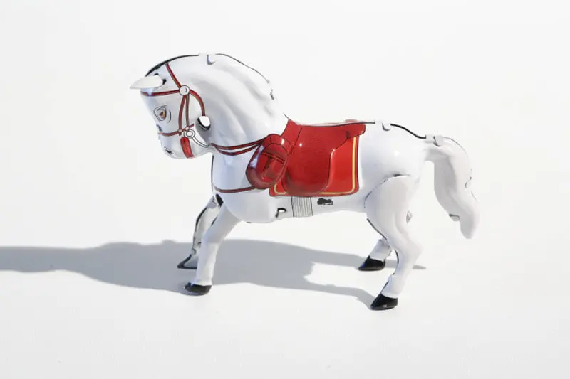 Paarden