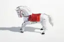 Paarden