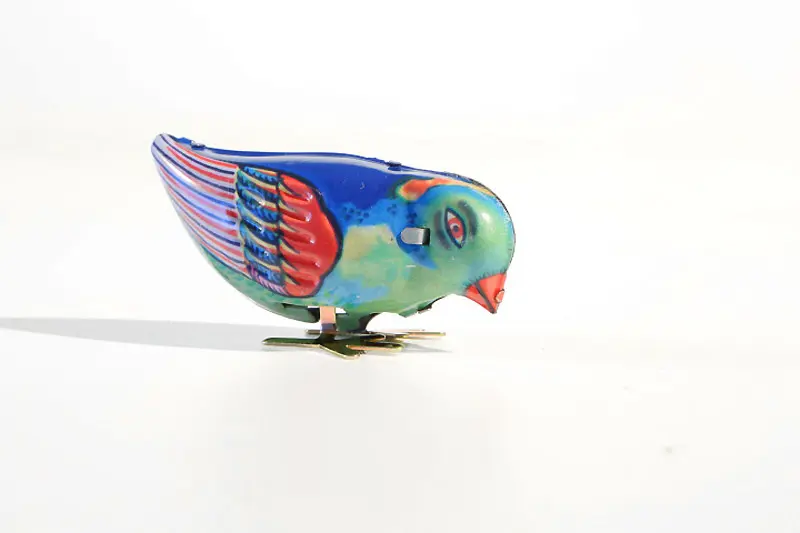 Vogeltje