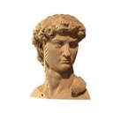 David