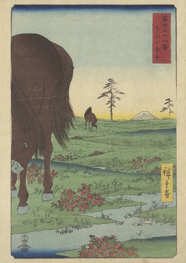 De vlakte van Kogane in Shimōsa