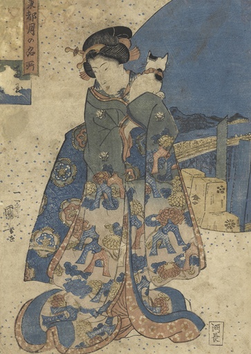 Jonge vrouw met een kat op de schouder