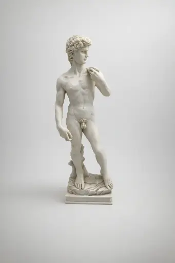 [MIC04] David