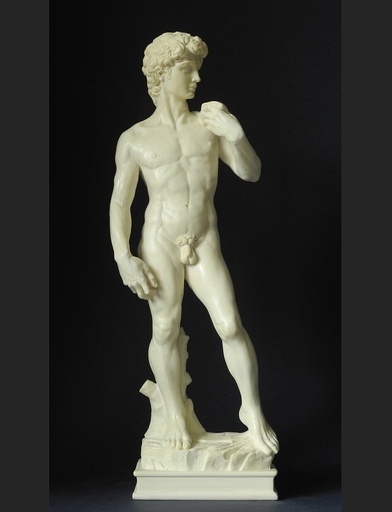 [MIC04] David