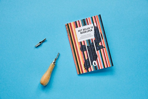 Het geluk te begrijpen