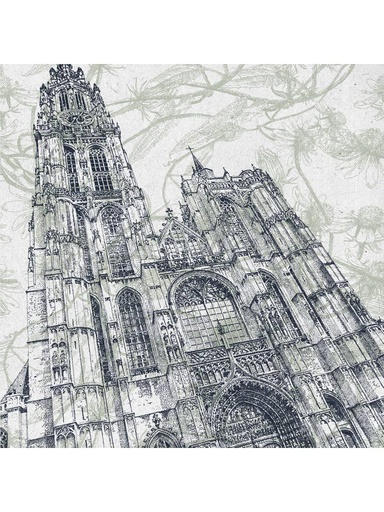De kathedraal van Antwerpen