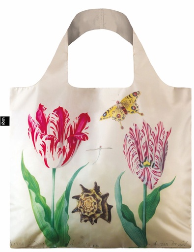 Twee tulpen, een schelp, een vlinder en een libel