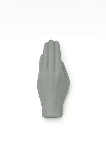 Antwerps Handje