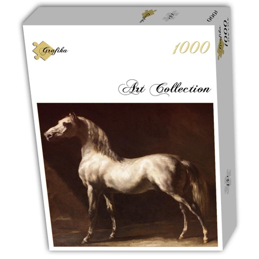 [Grafika-T-02241] Grijs-wit Arabisch paard