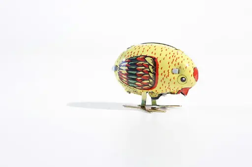 [6200060] Pikkent kuiken