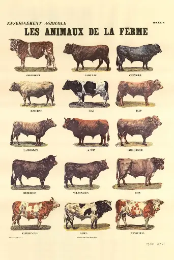 Les Animaux de la Ferme tableau B