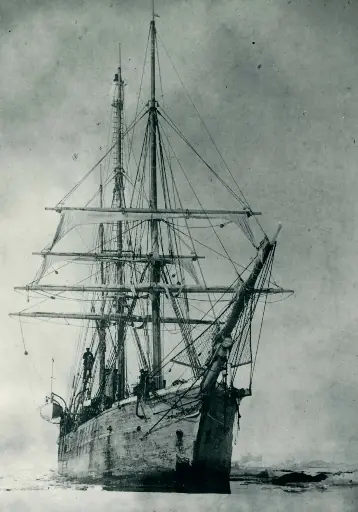 De Belgica