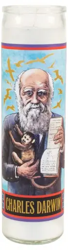 [3325] Charles Darwin seculiere heilige kaars
