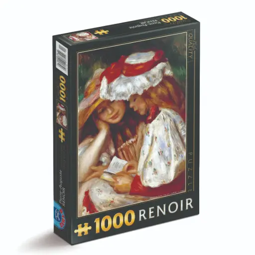 [DToys-70289] Twee meisjes lezen