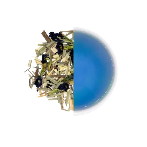 Blue Fly