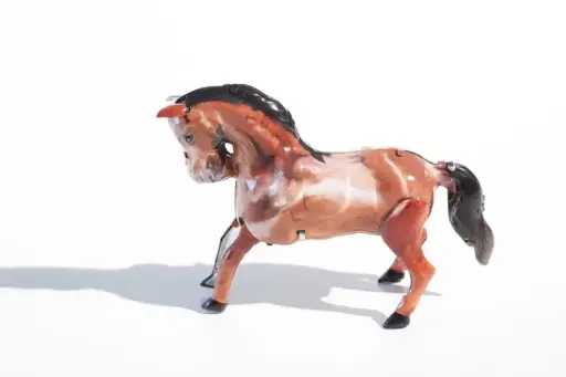 Paarden